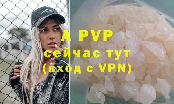 стафф Белокуриха