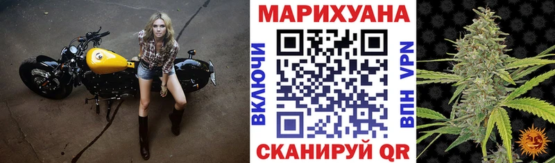 Каннабис сатива Жуковка